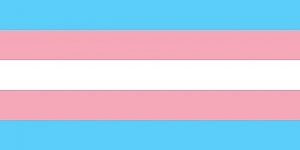 Drapeau Trans