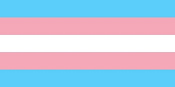 Drapeau Trans