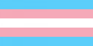 Trans flag