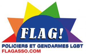 Logo Flag